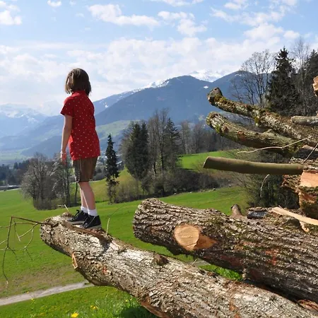 Staudach, Апартаменты *