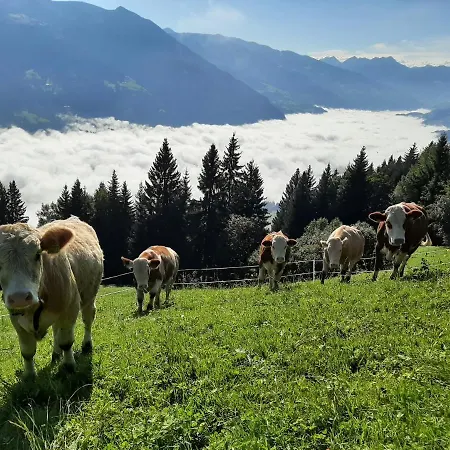 아파트 Staudach, 퓌겐베르크