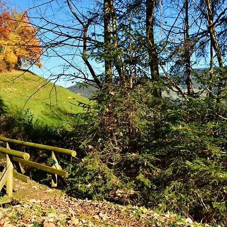 Staudach, فونغيبيرغ