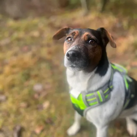 Staudach, 아파트 *