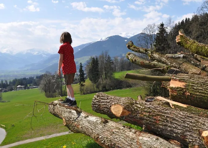 Staudach, Apartamento *