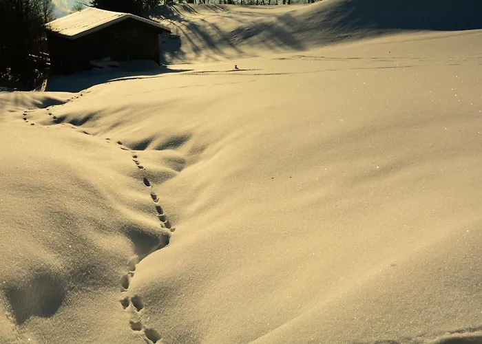 Staudach, Apartamento