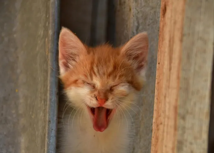 Staudach, Apartamento Fuegenberg