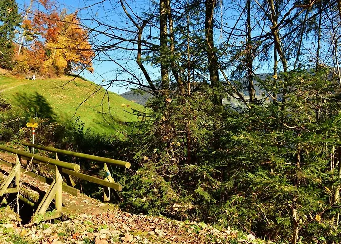 Staudach, Fuegenberg