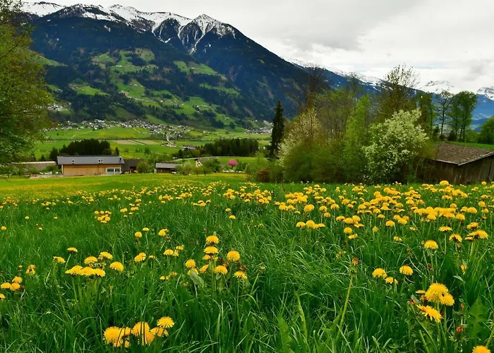 Staudach, Apartamento *