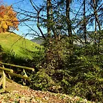 Staudach, פוגנברג